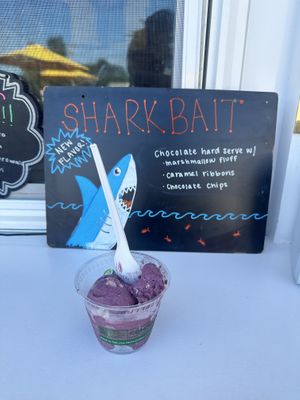 My small blueberry cookie  at Sweet Izzy in Harwich Port