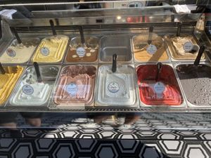 Variety of vegan ice cream (marked with a green sign)  at Golda in Mitzpe Ramon