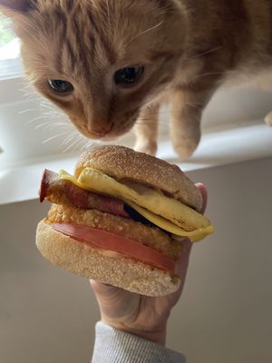 Breakfast Sandwich  at Veg Out in Surrey