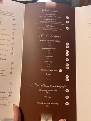 menu  at Dary Země in Frenstat Pod Radhostem