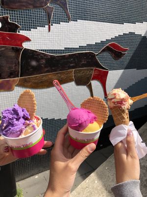   at IJs VanVitelli in Amersfoort