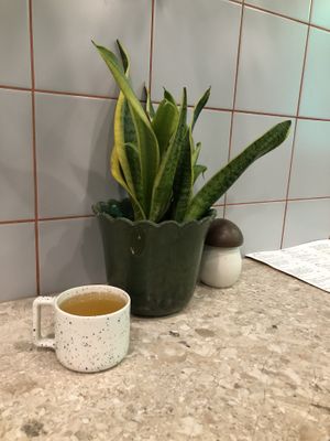 interior  at Raw to Go Kitchen in Moscow