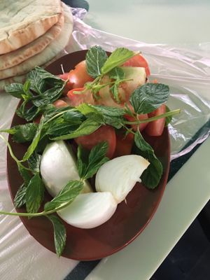 The restaurant uses 40 to 50 kg of onions on a daily basis at Hashem in Amman