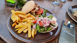Beyond burger with fries and a little side salad without dressing at Oranjerie ‘t Vogelhuis in De Koog