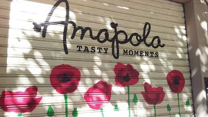shutters for siesta time! at Amapola Tasty Moments in Valencia