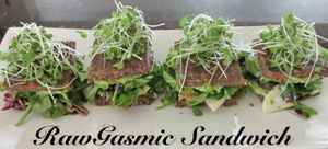 Rawgasmic Sandwich at Chef Sara's Raw Vegan Academy and Cafe in Cave Creek