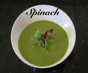 Spinach Soup at Chef Sara's Raw Vegan Academy and Cafe in Cave Creek