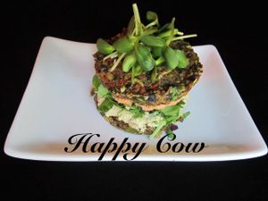 Happy Cow Veggie Burger at Chef Sara's Raw Vegan Academy and Cafe in Cave Creek