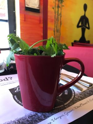 Turmeric/Cilantro/Himalayan Pink Salt - served hot  at Chef Sara's Raw Vegan Academy and Cafe in Cave Creek