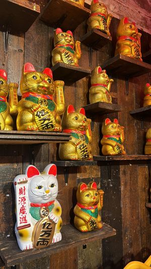   at Asia Market in Dublin