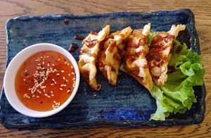 Gyoza vegan at Mr Tu in Cottbus