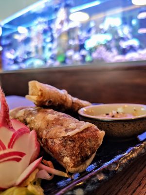 Vegane Frühlingsrollen at Mr Tu in Cottbus