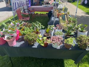 Amish run business! at Tremont Farmers Market in Cleveland