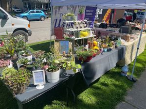 Their plants are beautiful. at Tremont Farmers Market in Cleveland