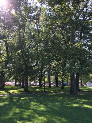 Market from a park square perspective  at Tremont Farmers Market in Cleveland