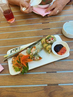 Vegan summer rolls at Tau in Vienna