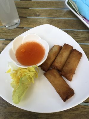 Spring rolls   at Tau in Vienna