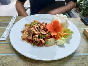 Lunch special of 3 vegan 'meats' and 5 vegetables at Tau in Vienna
