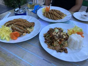 Duck with fried noodles, duck with fried rice, 8 treasures  at Tau in Vienna