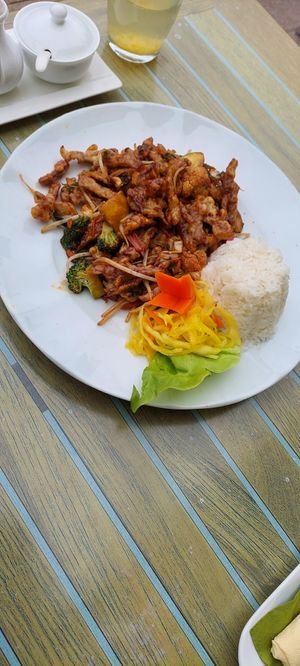 Gan Bian (54) at Tau in Vienna