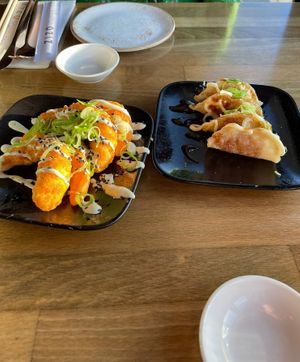 Tempura shrimp and crispy gyozas at ZIZO in Zandvoort