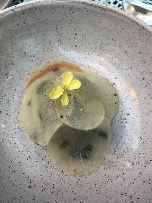 Mushroom ragout  at Oyster Oyster in Washington