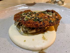 Wild Winter Oyster Mushrooms, Pickled Cabbage, Celeriac, Truffle-Brown Butter Sauce  at Oyster Oyster in Washington