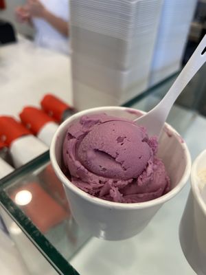 Ube  at Babes in Sacramento
