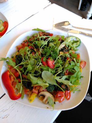 Savoury pancakes with salad at Café Flowery in Koblenz