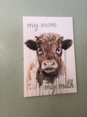   at Café Flowery in Koblenz