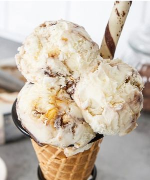 Vegan thunder and lightning at Hales Of Cartmel in Cartmel