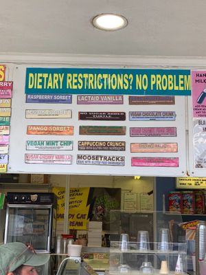Vegan Options at The Ice Cream Store in Rehoboth Beach