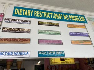 Selection March 29-30, 2025 (see the middle column). Both oat milk and soy milk based flavors.  at The Ice Cream Store in Rehoboth Beach