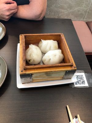 Vegetarian dumplings at Xian Sushi and Noodle  in San Marcos