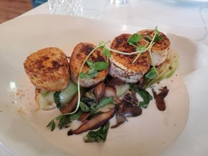 Vegan scallops and mushrooms at Bottle Tree in Belmont