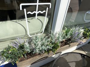 Fake plants  at Blue Pearl Cafe in Ardmore