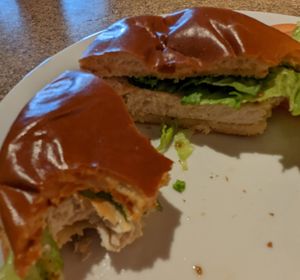 Not the best picture but this is the Gardein chicken patty sandwich at Thunderbird Restaurant in Mount Carmel