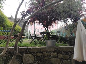 Garden at The Happy Nest in Porto