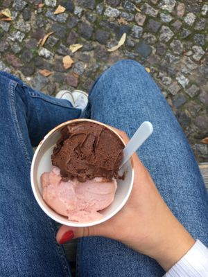 Vegan chocolate and pie plant ice cream at Frau Lüske Kaffeehaus in Berlin