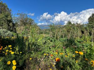 Vegetables at Villa Govinda - Veg Soul in Olgiate Molgora