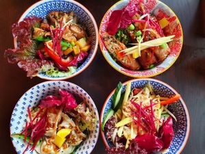 Fire Classic, Vegan Spring Rolls, Gyoza and Mango Salad at To1980 Vegan in Dusseldorf
