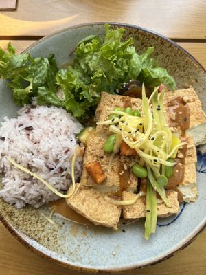 Peanut Curry with Tofu  at To1980 Vegan in Dusseldorf