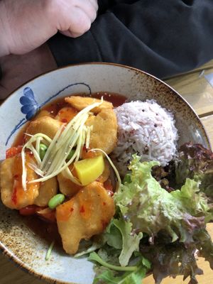 Daily day special   at To1980 Vegan in Dusseldorf