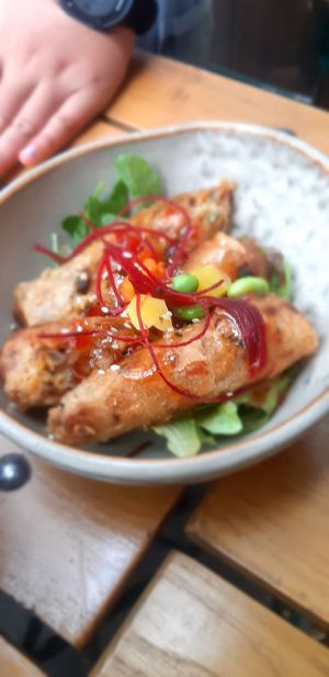 Crispy rolls at To1980 Vegan in Dusseldorf