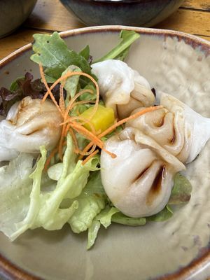dumplings  at To1980 Vegan in Dusseldorf