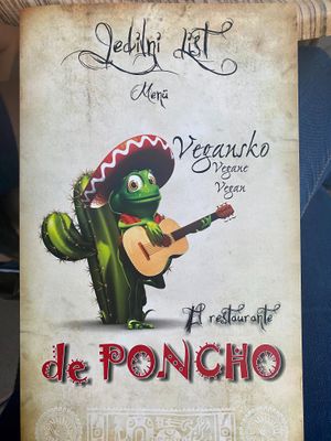 Special vegan menu part 1 at De Poncho in Ptuj