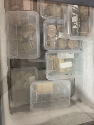 Other side of frozen goods  at B12 Zero Waste in St Petersburg