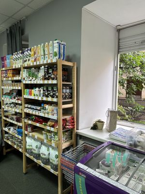   at B12 Zero Waste in St Petersburg