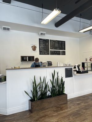 Cute, fresh cafe with good vibes  at Bloom in Logan