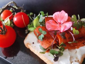 Salmón Vegano  at Naked in San Luis Potosi